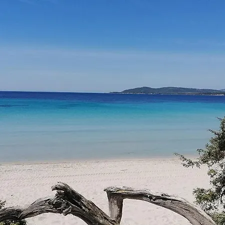 Mare Chiaro * ألغيرو